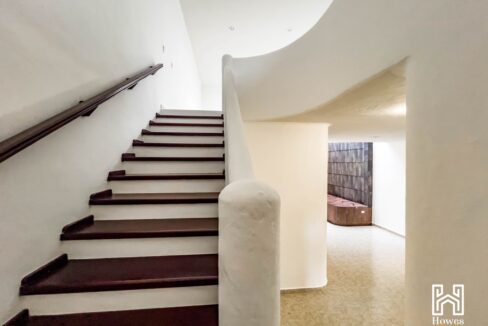 CASA ELISA16