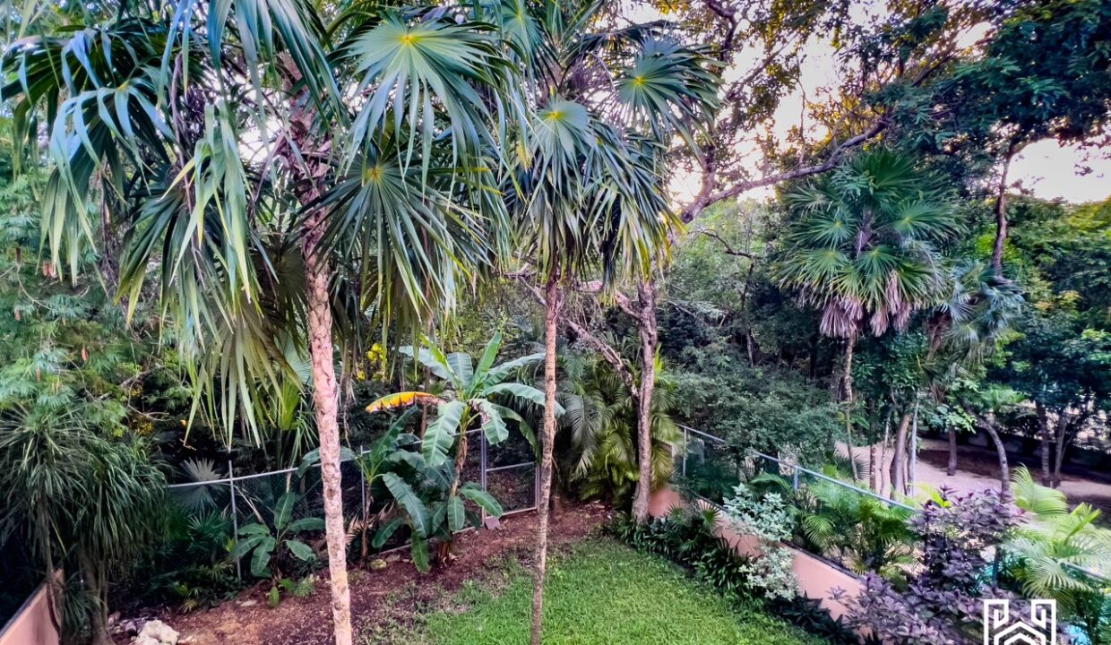 CASA ELISA19