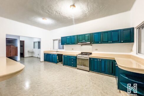 CASA ELISA4