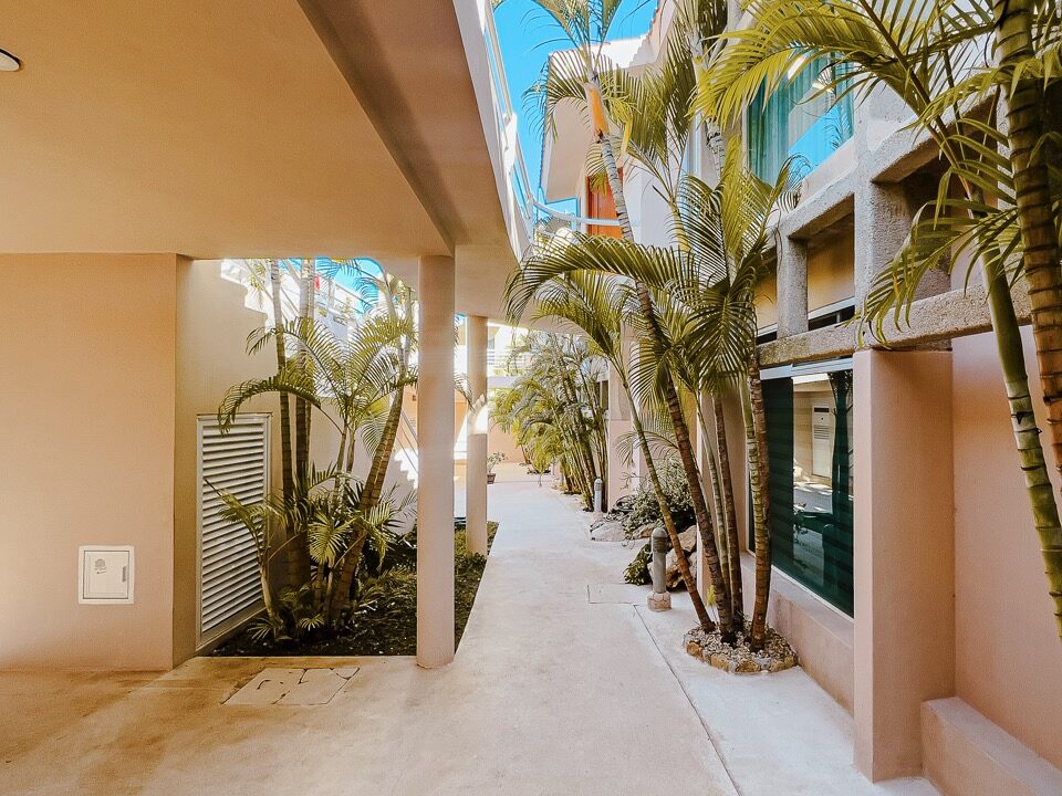 CONDO AMARANTO32