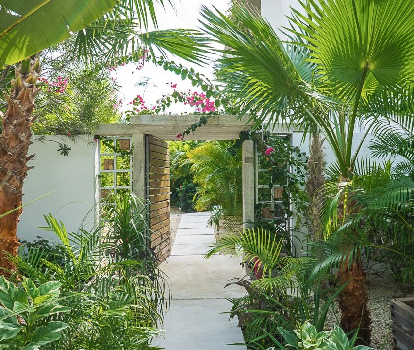VILLA SERRANO WEB34