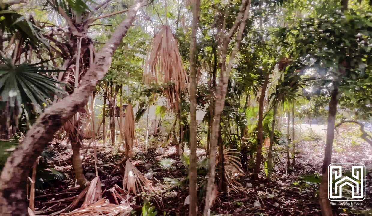 LOTE NÁUTICO - L21
