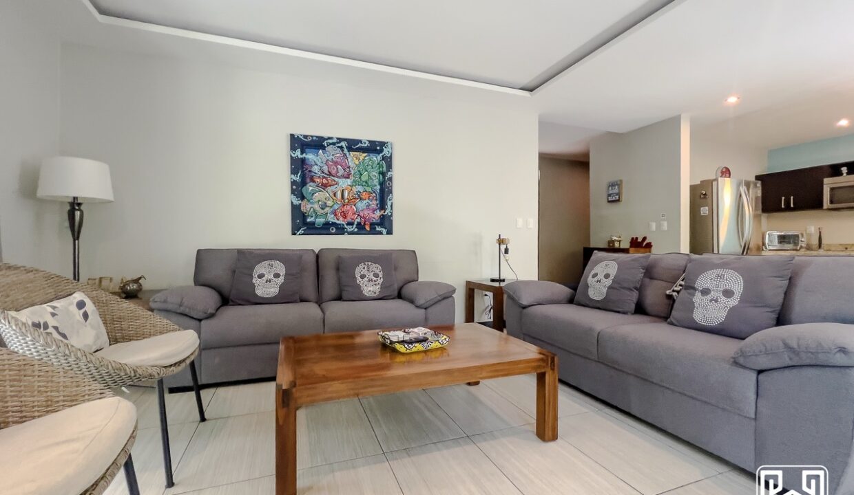10CONDO PALMAS6