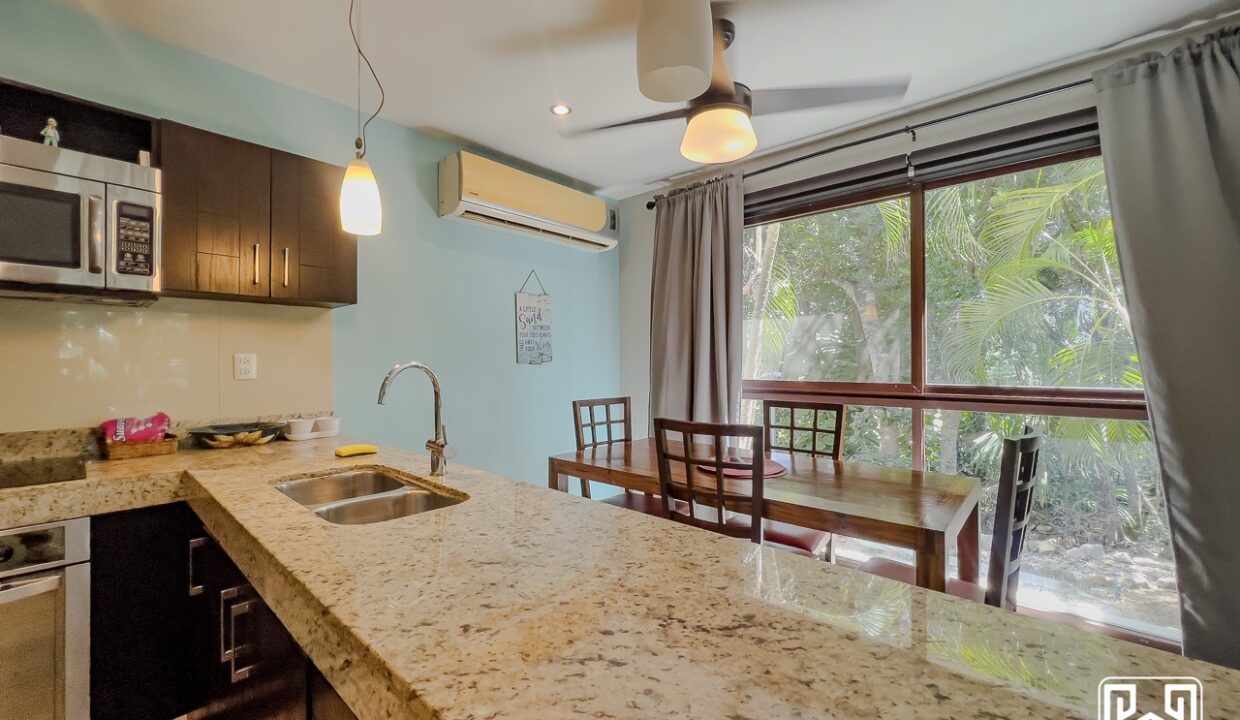 12CONDO PALMAS9