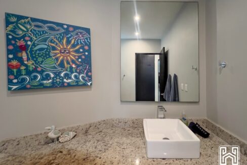 21CONDO PALMAS19