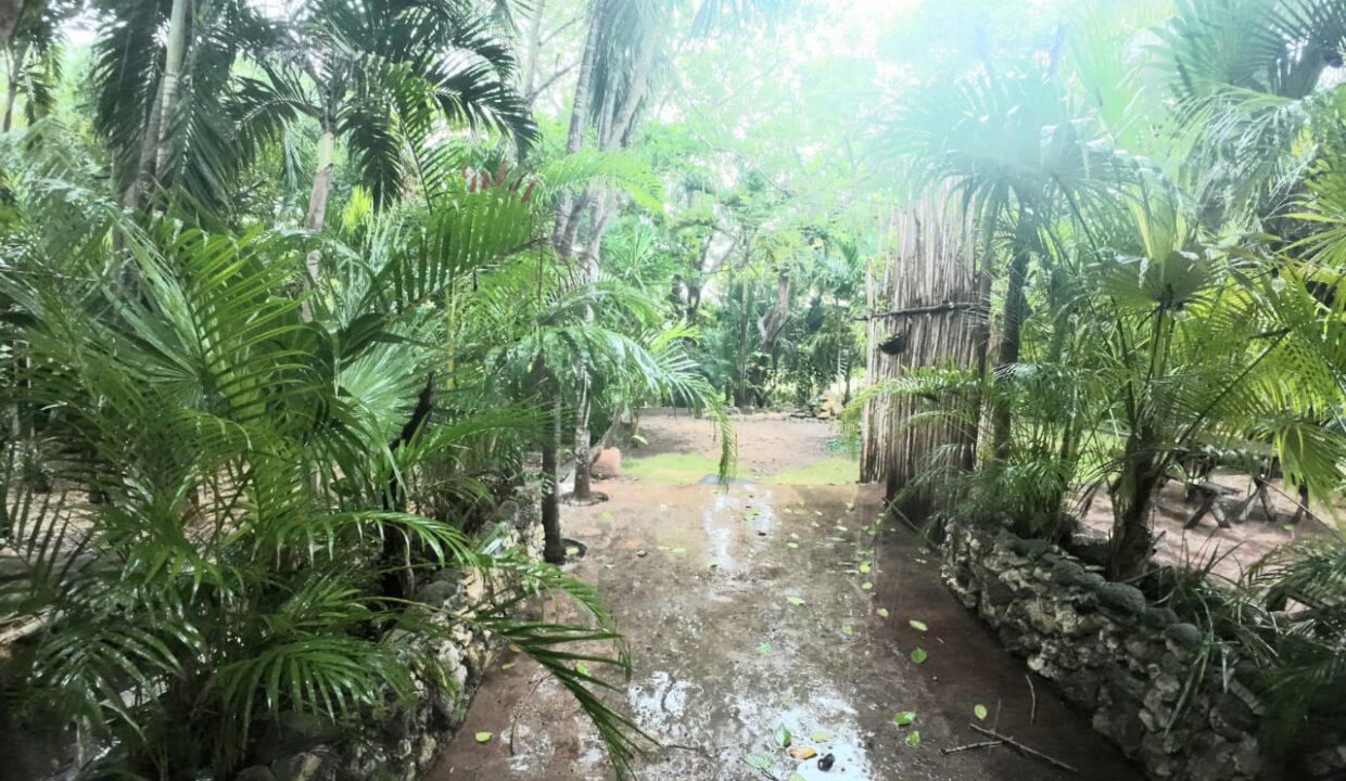 TOWNHOUSE BAKUMAL4