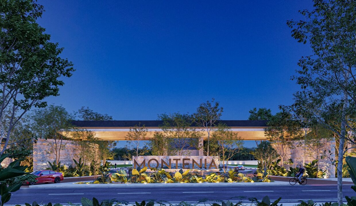 MONTENIA LOTES16