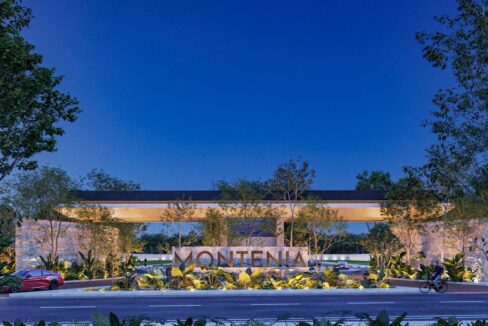 MONTENIA LOTES16
