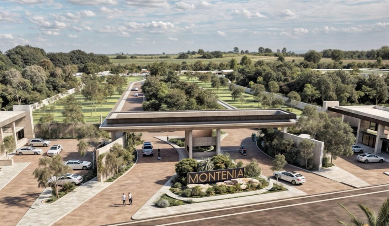 MONTENIA LOTES7