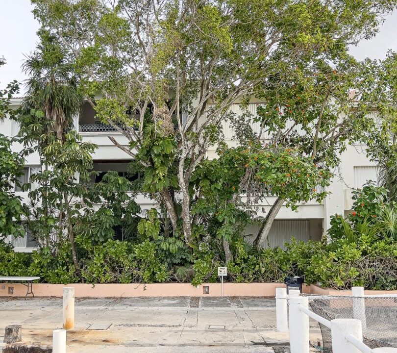 35CONDO CHAC HAL AL (G202)56