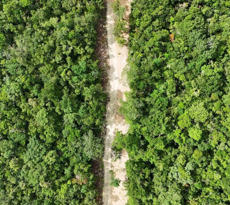 Aldea-Xcacel-Residential-lots-in-Riviera-Maya-14