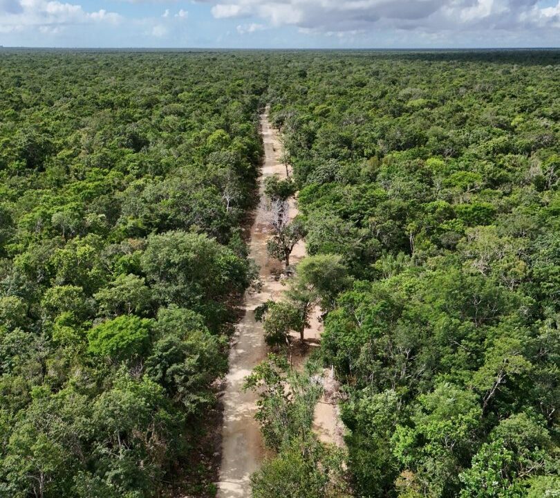 Aldea-Xcacel-Residential-lots-in-Riviera-Maya-16