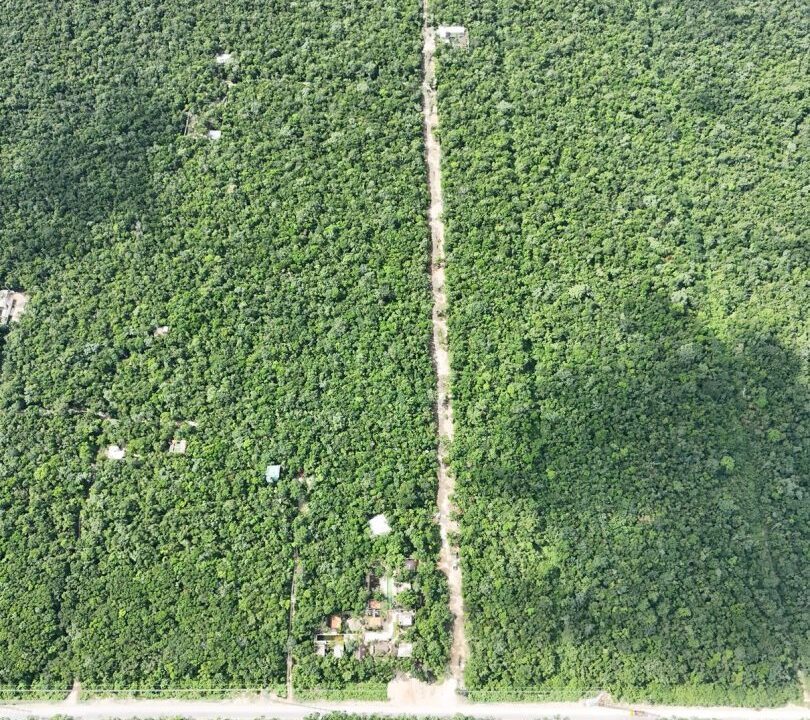 Aldea-Xcacel-Residential-lots-in-Riviera-Maya-21