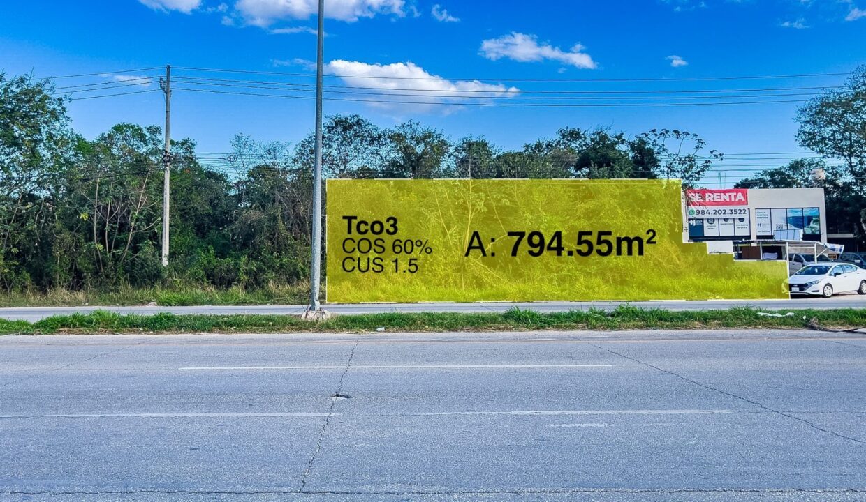LOTE COMERCIAL M35