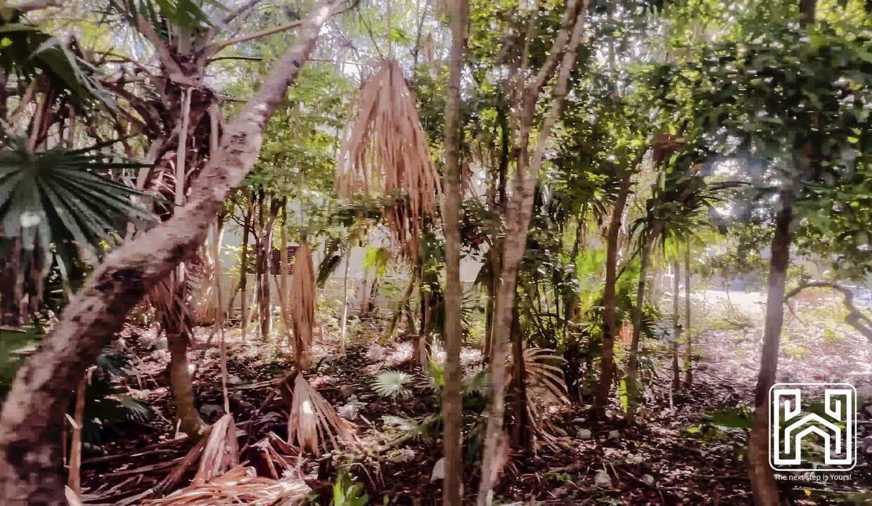 LOTE NÁUTICO - L21